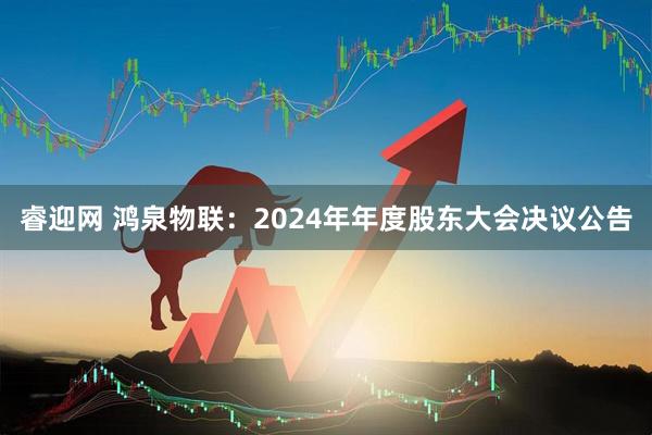 睿迎网 鸿泉物联：2024年年度股东大会决议公告