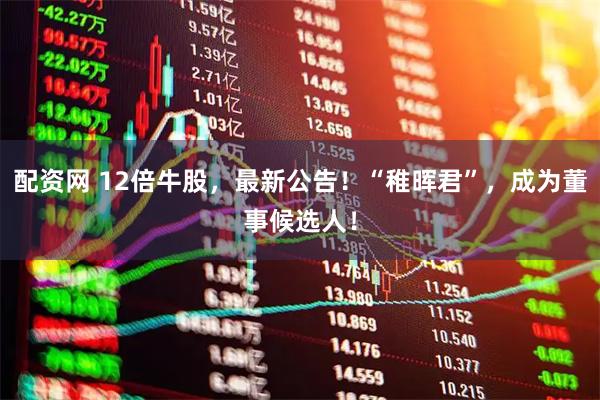 配资网 12倍牛股，最新公告！“稚晖君”，成为董事候选人！