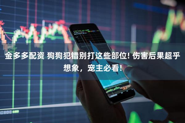 金多多配资 狗狗犯错别打这些部位! 伤害后果超乎想象，宠主必看!
